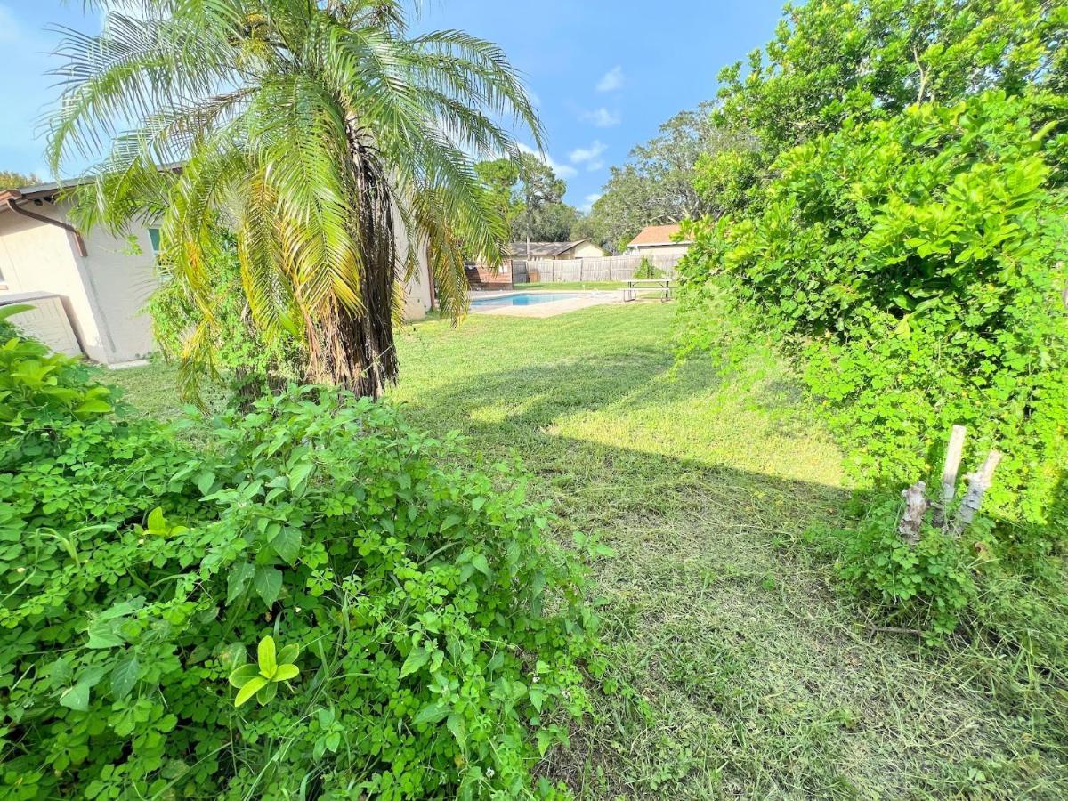 Dream Vacation Home W Heated Pool Close To Beaches Clearwater St Pete Sleeps 14 Seminole Exterior foto